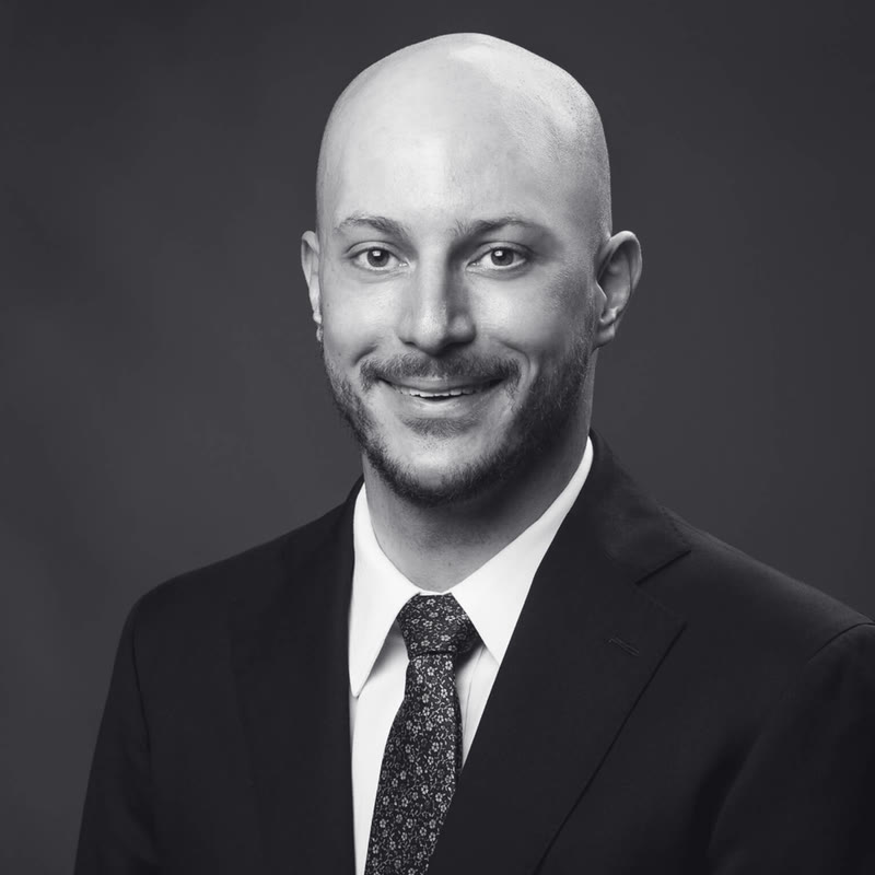 Portrait of David Martin